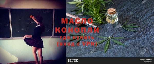 соль ск Алексин