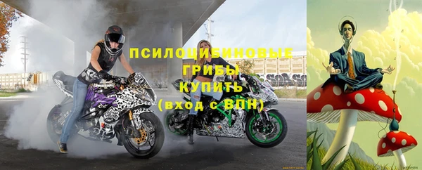 соль ск Алексин