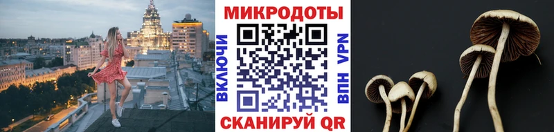 Галлюциногенные грибы GOLDEN TEACHER  omg ссылка  Дрезна 